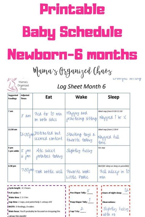 6 Months Of Printable Baby Schedules Newborn To 6 Months Etsy Baby