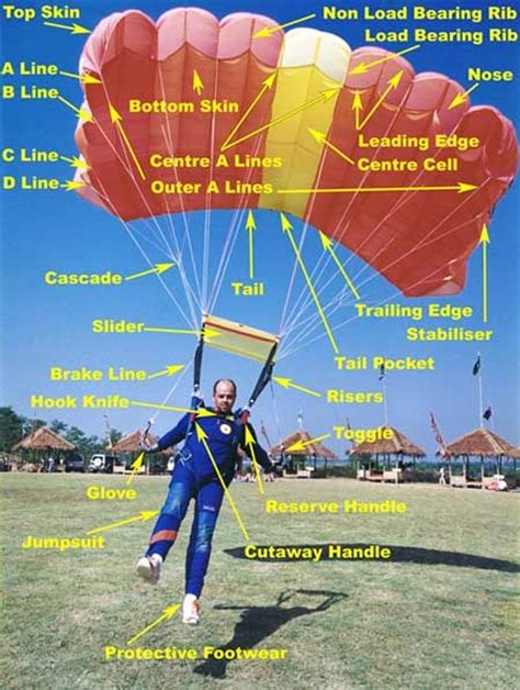 Parachuting Equipment Skydiving Paragliding Parachute