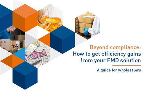 Aggregation And Consolidation For Fmd Quick Guide Zetes