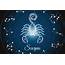 Scorpio Star Sign Horoscope Dates Meaning Character Traits And 