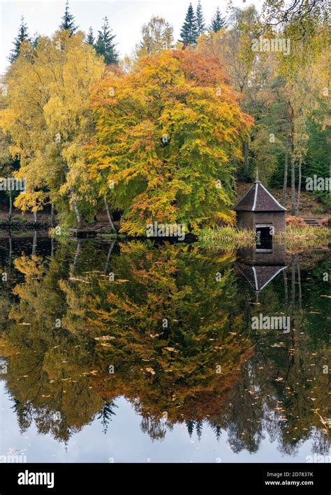 Autumn Colours On Woodland Foliage And Wooden Boathouse At Loch Dunmore