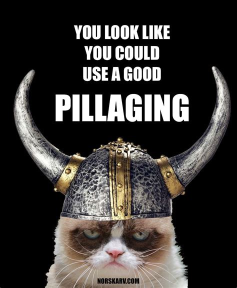 Viking Grumpy Cat Pillaging Meme Norway Norwegian Funny Humor Humorous