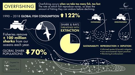 How Does Overfishing Affect Sharks And Rays Save Our Seas Foundation