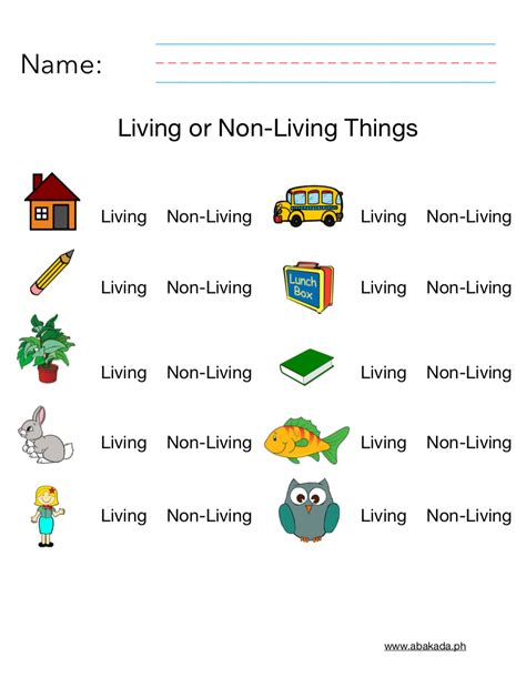 Living Things Worksheet K5 Learning Science Worksheet