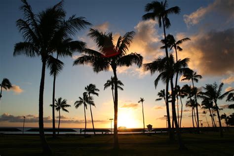 Magic Island Honolulu 2020 Lo Que Se Debe Saber Antes De Viajar