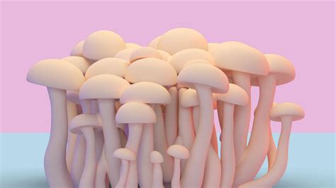 Could Mushrooms Boost Your Sex Drive Woman And Home