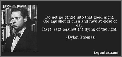 Do Not Go Gentle Into That Good Night Dylan Thomas Quotes To Live