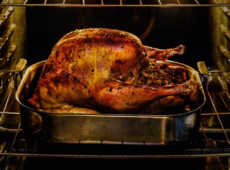 Roasted turkey for Thanksgiving in oven - StockFreedom - Premium Stock