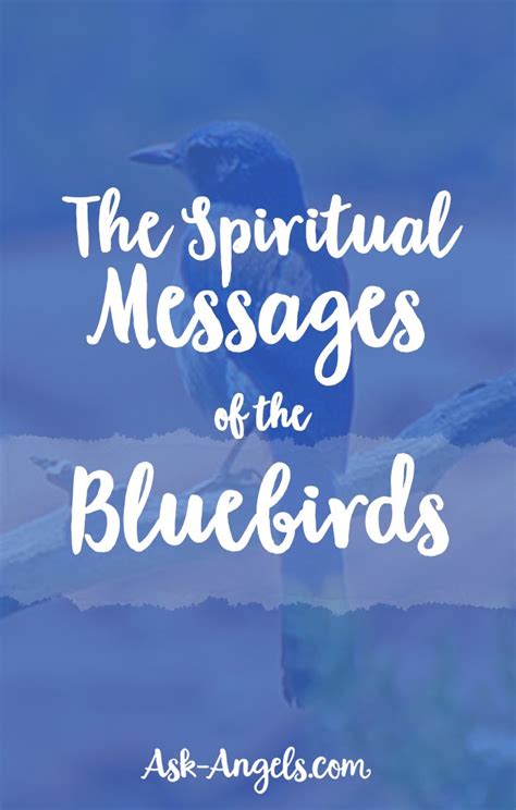 The Spiritual Meaning Of Bluebird With Images Spirituality Spiritual Messages Spirit