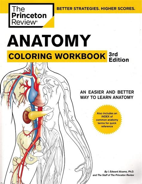 Princeton Anatomy Coloring Workbook For Imaging Professionals 4th Edition X Ray Lady