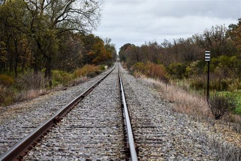 Railroad Track Leading To The Horizon With Autumn Foliage Stock Image