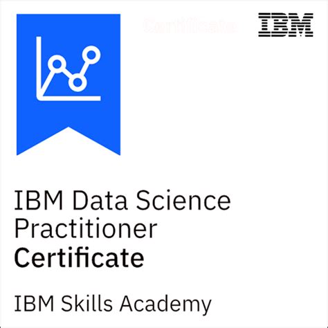 Ibm Skills Academy At Adelphi University