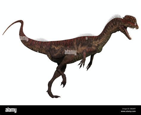 Dilophosaurus Era Un Dinosaurio Depredador Ter Podos Que Vivi En El