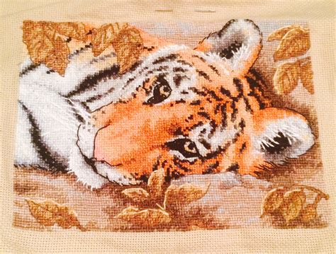 FINISHED My Beguiling Tiger 6 Months In The Making R CrossStitch