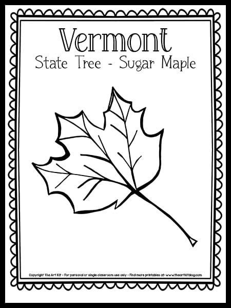 Vermont State Tree Coloring Page The Art Kit Copy The Art Kit