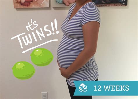 Maybe you would like to learn more about one of these? 12 Weeks Pregnant with Twins: Tips, Advice & How to Prep ...