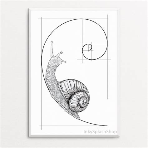 Snail On Fibonacci Spiral Wall Art Printable Golden Ratio Etsy