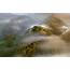 Mist Landscape Nature Aerial View Mountain Fall Sunrise Forest 
