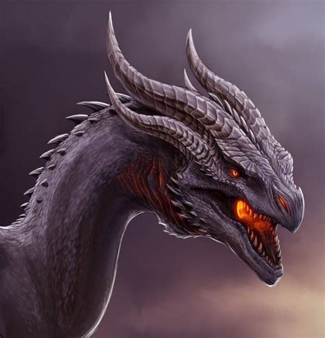 1000 Images About There Be Dragons On Pinterest Dragon Art Baby