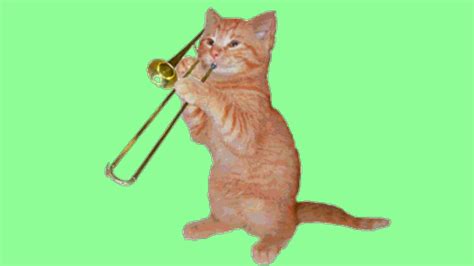 Gato Tocando Trompeta Youtube