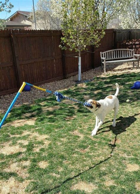 34 Simple Diy Playground Ideas For Dogs Homemydesign