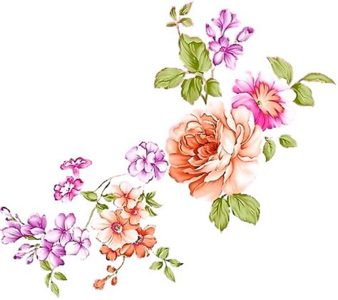 Картинки разное 2 3 736 фотографий Flower Illustration Digital