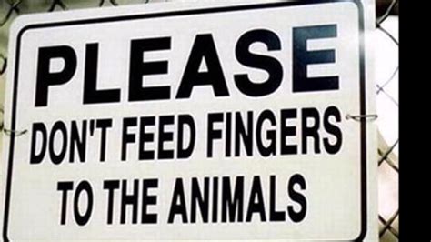 Most Hilarious Zoo Sign That Will Make You Laughfunniest Zoo Sign