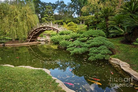 Lead The Way The Beautiful Japanese Gardens At The Huntington Library