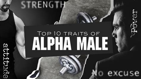 Top 10 Traits Of Alpha Male With English Subtitles Youtube