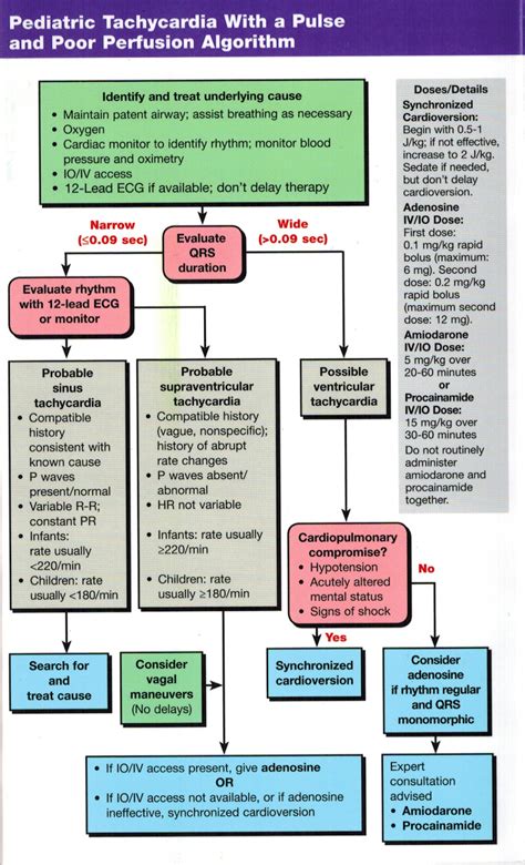 Acls algorithm card 2020 acls cards pocket guide 2020 acls. Pin on physiology