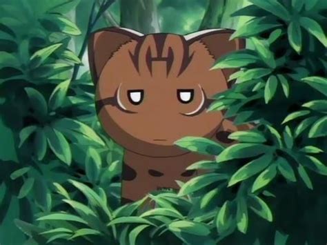 28 Best Anime Cats Felines Of All Time 17 Azumanga Daioh Anime