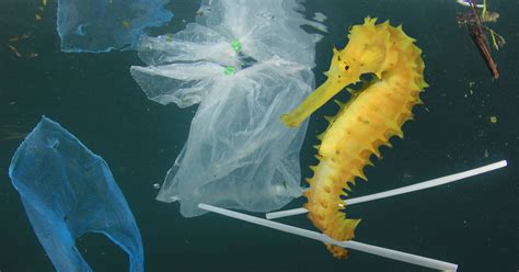 Uk Pledges To Ban Single Use Plastic In An Effort To