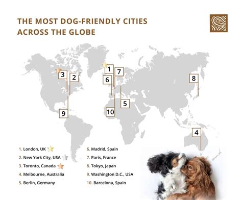 The Best Cities for Dogs Around the World | Benchmark Kennels