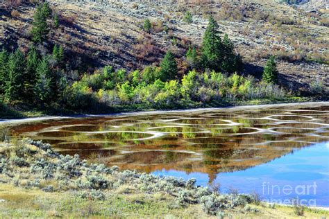Spotted Lake Okanagan Valley Osoyoos Photograph By Kevin Miller