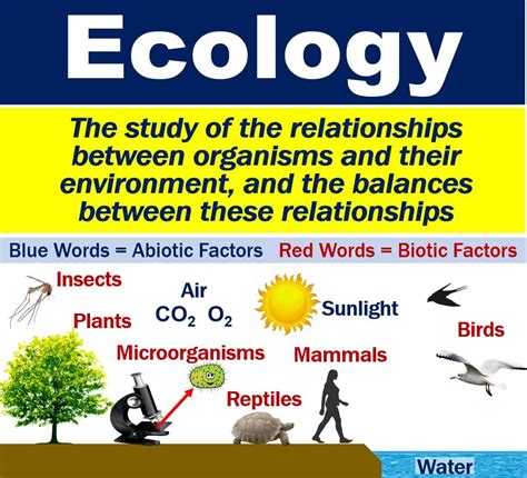 What Is Ecology Definition And Examples Market Business News