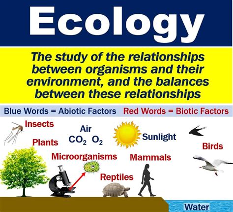 What is ecology? Definition and examples - Market Business News