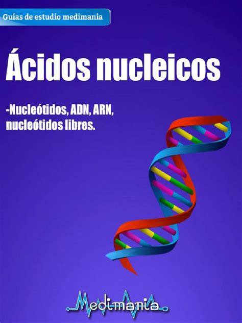 Ácidos Nucleicospdf Ácidos Nucleicos Cromatina