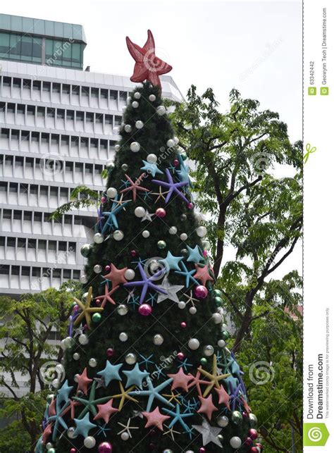 Christmas Star Tree Stock Photo Image Of Holiday Christmas 63342442