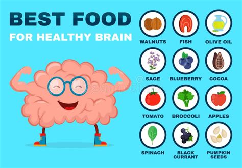 Brain Food Infographic Stock Illustrations 449 Brain Food Infographic
