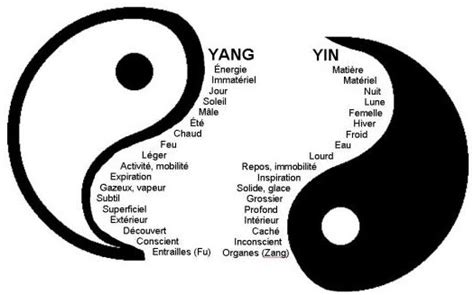 Yin And Yang Signification Journal Des Bonnes Nouvelles