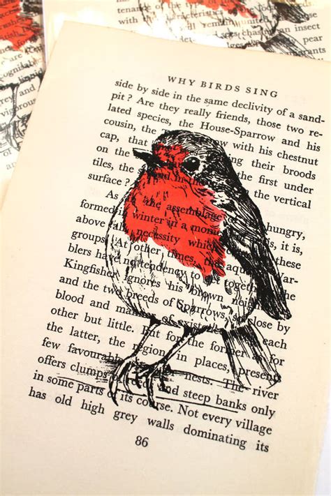 Robin Screen Print On Vintage Book Page By Feltmeupdesigns ...