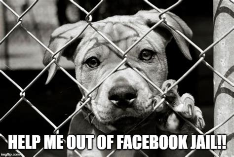 10 Facebook Jail Secrets To Avoid Being Blocked Get Out Of It