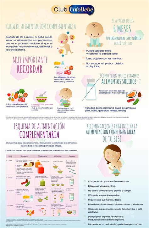 ¿ya Sabes Cómo Introducir La Alimentación Complementaria En Tu Bebé