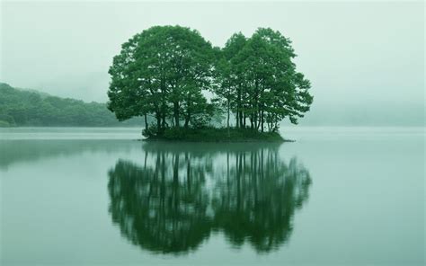 Wallpaper Trees Landscape Lake Nature Reflection Grass Sky Branch Calm Green Morning