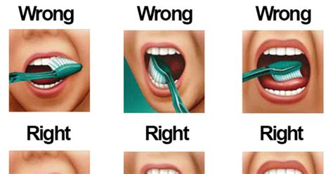 How To Properly Brush Your Teeth
