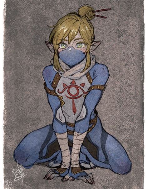 Link Sheikah Stealth Armour The Legend Of Zelda Breath Of The