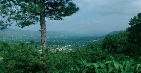 Beautiful Samahni Valley Samahni Valley Azad Kashmir Discover The