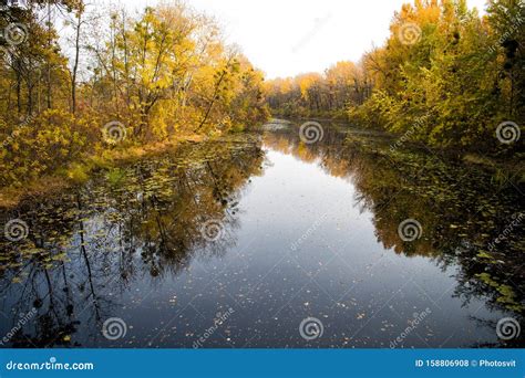 Autumn Landscape Calm River Surface Reflecting Autumn Colorful Trees
