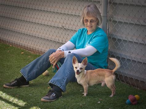 Our affordable pet vaccination clinics offer quality, preventive care to help ensure your pet's health & wellness. Volunteer Spotlight - Barbara Golding - Humane Society of ...