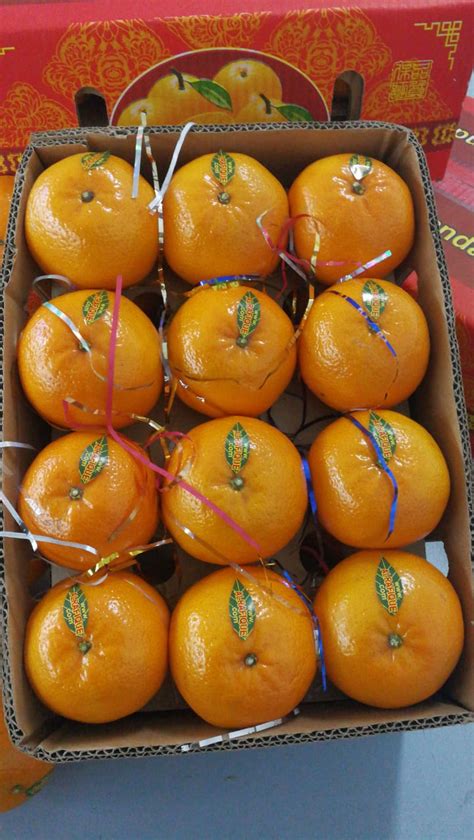 Mandarins Kinnow Fresh Citrus Fruits Citrus Fruits Pakistan